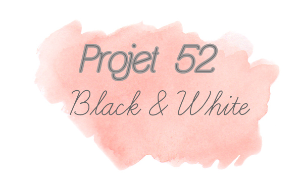 Projet52-blackandwhite